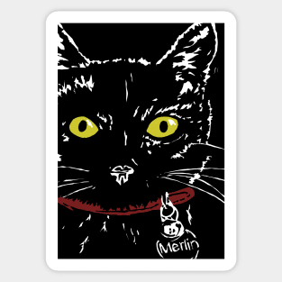 Hello Little Black Cat Merlin Sticker